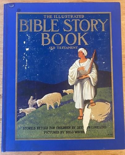 Illustrated bible story book - story,